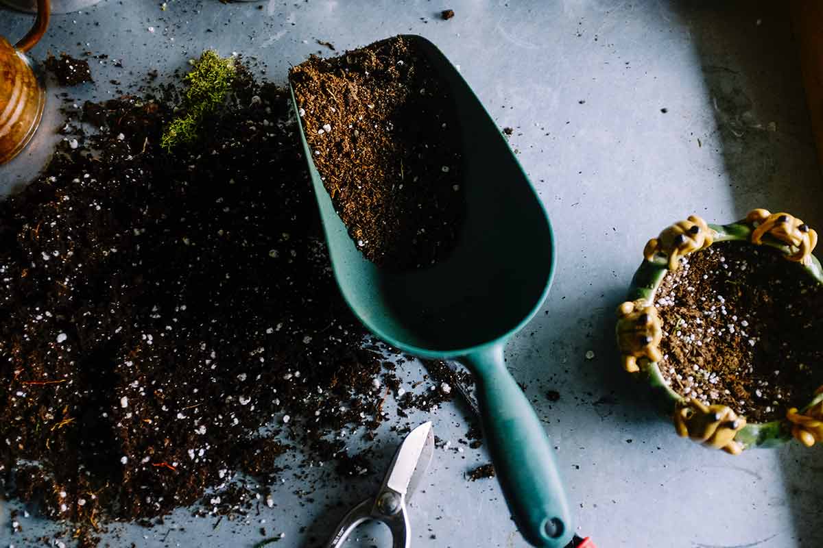 Ten Quick Tips For making your own compost